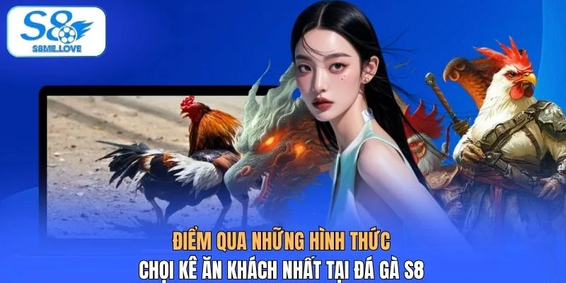 Điểm qua những hình thức chọi kê ăn khách nhất tại đá gà S8