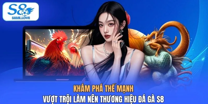 Khám phá thế mạnh vượt trội làm nên thương hiệu đá gà S8