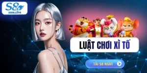 Luật Chơi Xì Tố