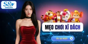 Mẹo Chơi Xì Dách