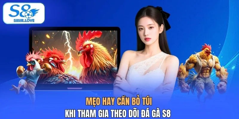 Mẹo hay cần bỏ túi khi tham gia theo dõi đá gà S8
