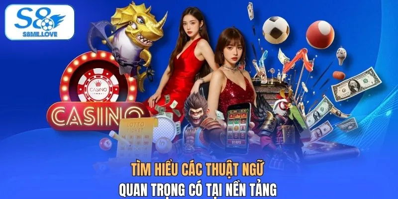 Tìm hiểu các thuật ngữ quan trọng có tại nền tảng